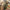 Aktualizacja CS:GO – Valve wzięło się za rozbrajanie bomb i headshoty