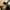 Dying Light 2 z dodatkiem za darmo | Newsy - PlanetaGracza