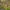 Recenzje Tropico 5 trafiły do internetu