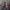 Wiedźmin 3: Dziki Gon – nowy gameplay oraz data premiery! Raport po konferencji CD Projekt RED [AKTUALIZACJA#2]
