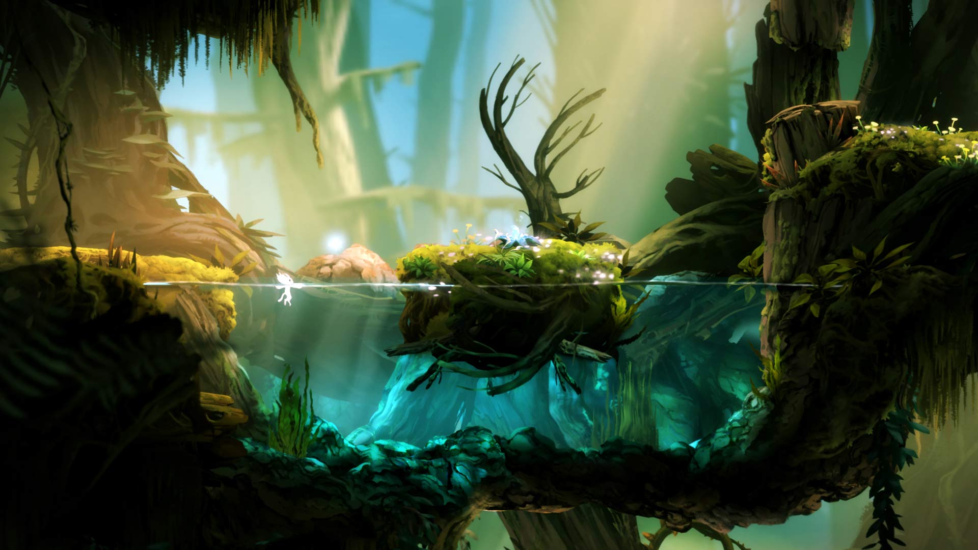 Ori and the Blind Forest: Definitive Edition dopiero na wiosnę 2016