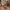 Uncharted: Kolekcja Nathana Drake’a zajmie na dysku ponad 44 GB