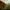 Far Cry Primal – dwie godziny w prehistorycznym świecie