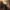 Dying Light dostanie patch, wyłączający irytujący efekt graficzny