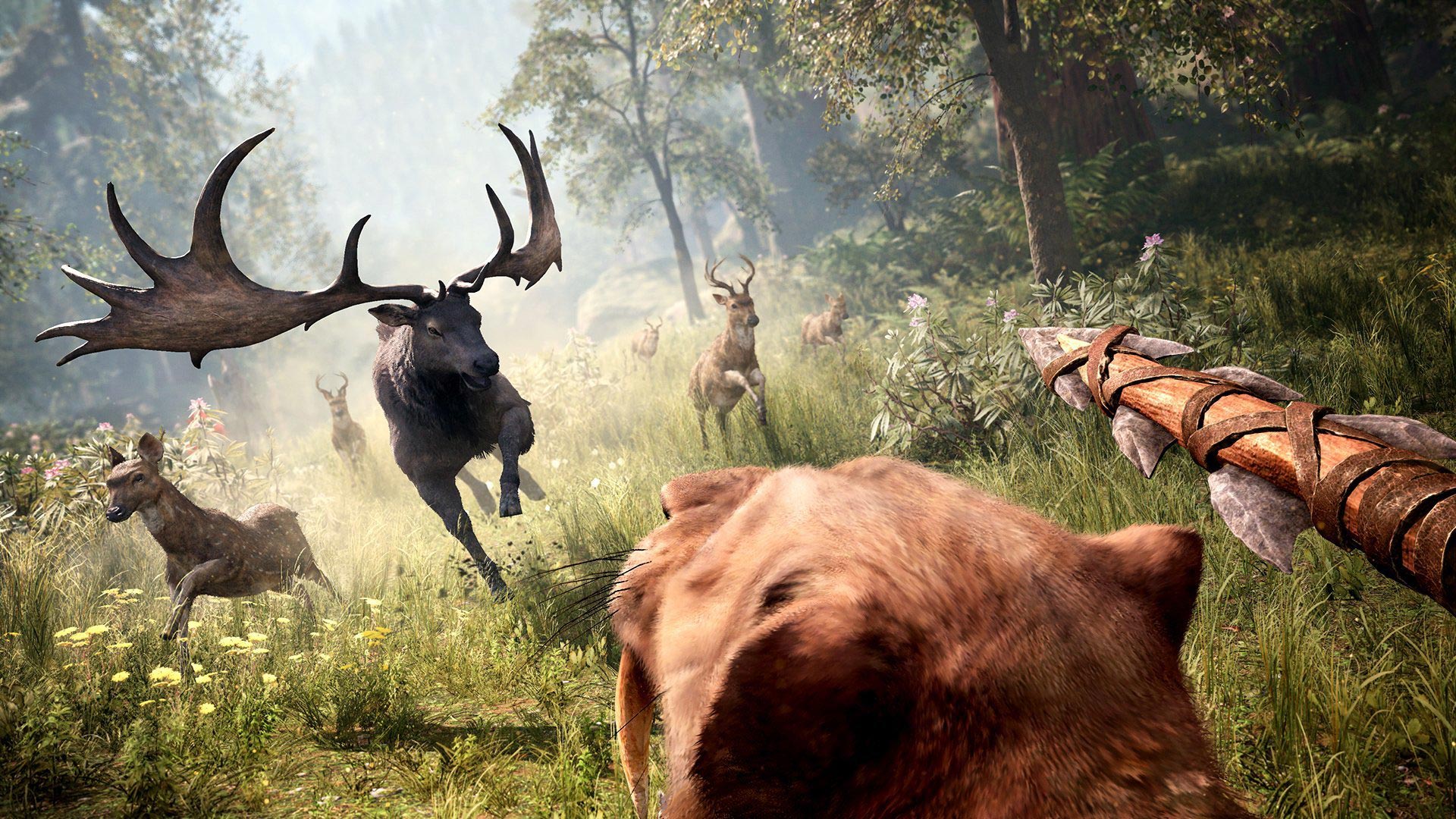 Снежная птица far cry primal где найти