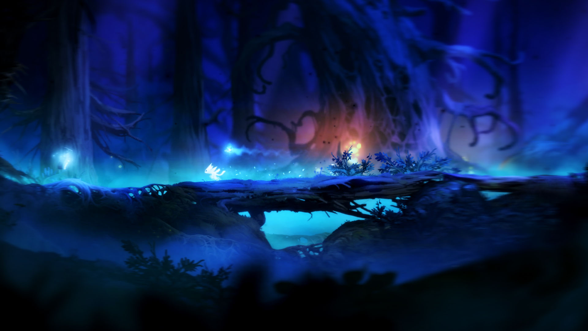 Nowe Ori and the Blind Forest na PC opóźnione