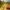Tropico 5 za darmo w Epic Games Store