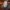 Wiedźmin 3 – dodatkowy screen z DLC Krew i Wino oraz niespodzianka dla fanów Rocket League