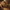 Recenzje Dishonored 2 – gra okazała się wielkim zaskoczeniem