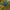 Crash Bandicoot N. Sane Trilogy – zachęcający gameplay