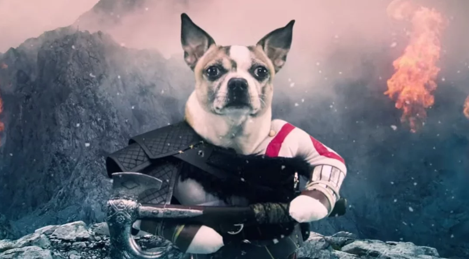 Wpadka agencji reklamowej. Oto Dog of War