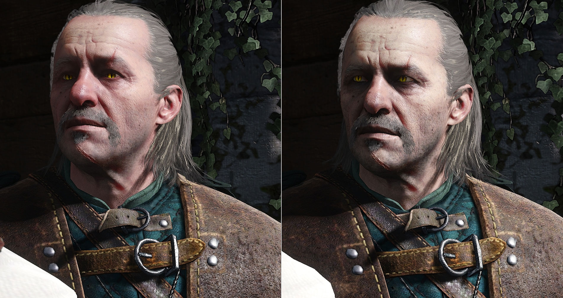 The witcher 3 face mod фото 102