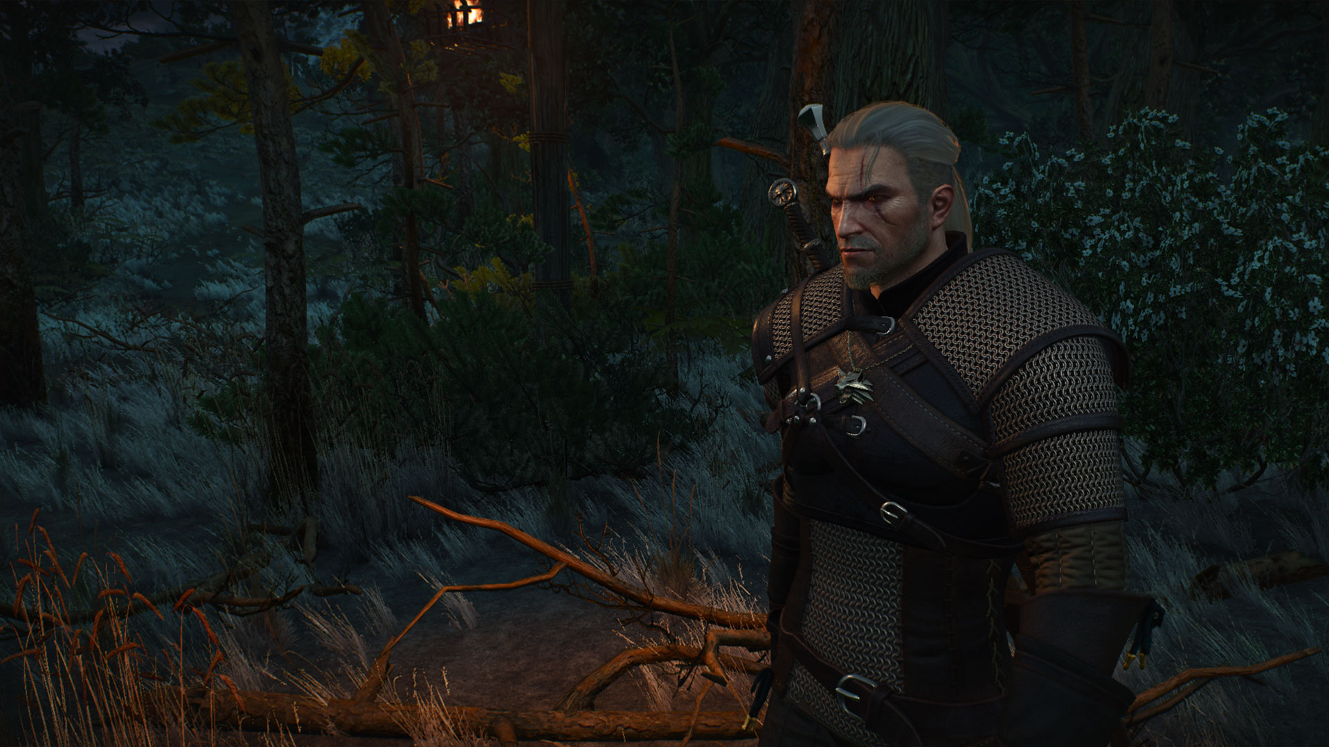 The witcher 3 with geralt doppler фото 31