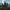 Wilki z Ghost Recon Breakpoint i Jon Bernthal na świetnym zwiastunie w 4K
