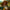 Wiedźmin 3 – młodsza Ciri i kasztanowa Triss rozchwytywane przez fanów gry