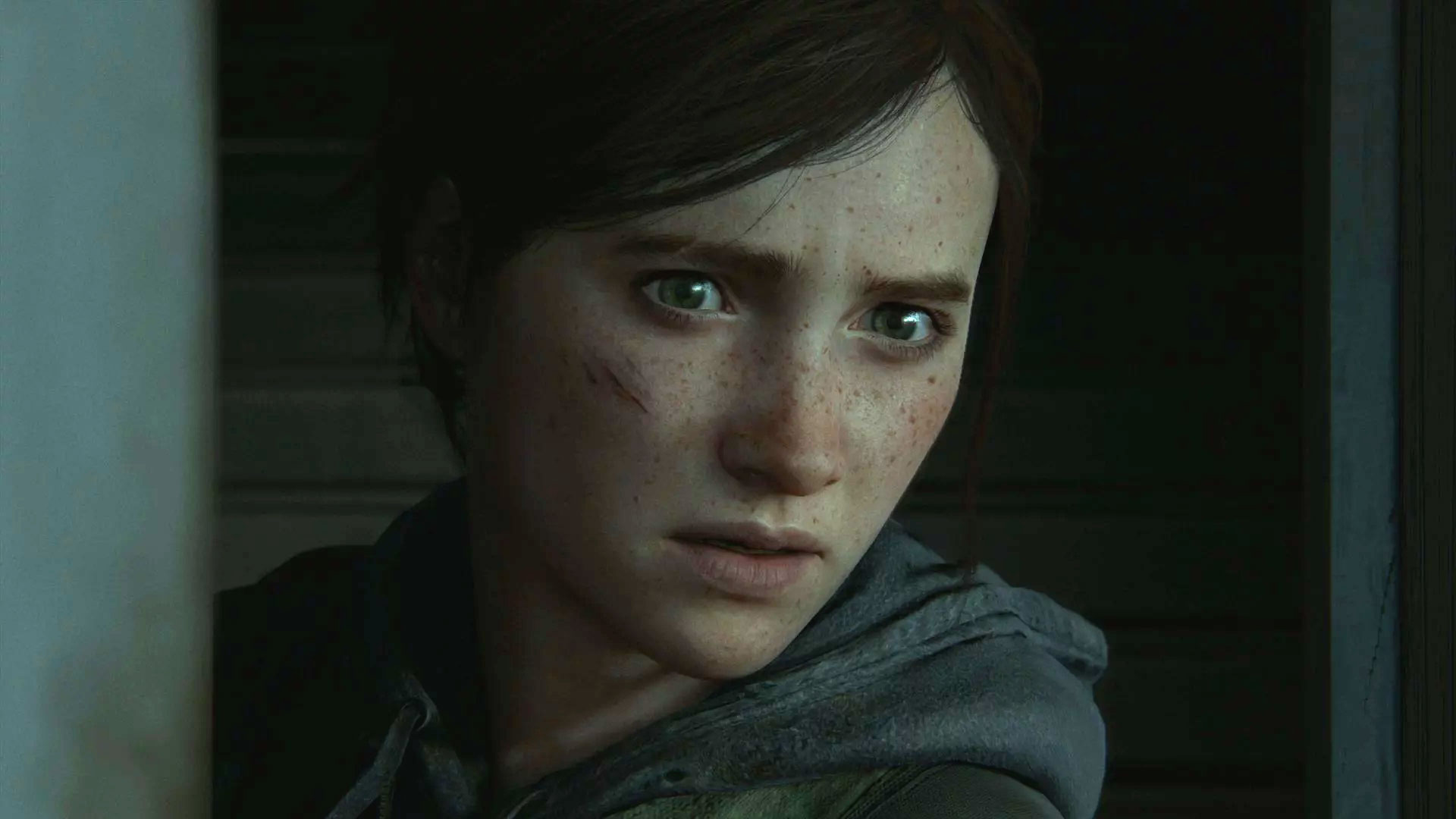 The Last of Us 2 – pobierajcie za darmo dynamiczny motyw na PS4