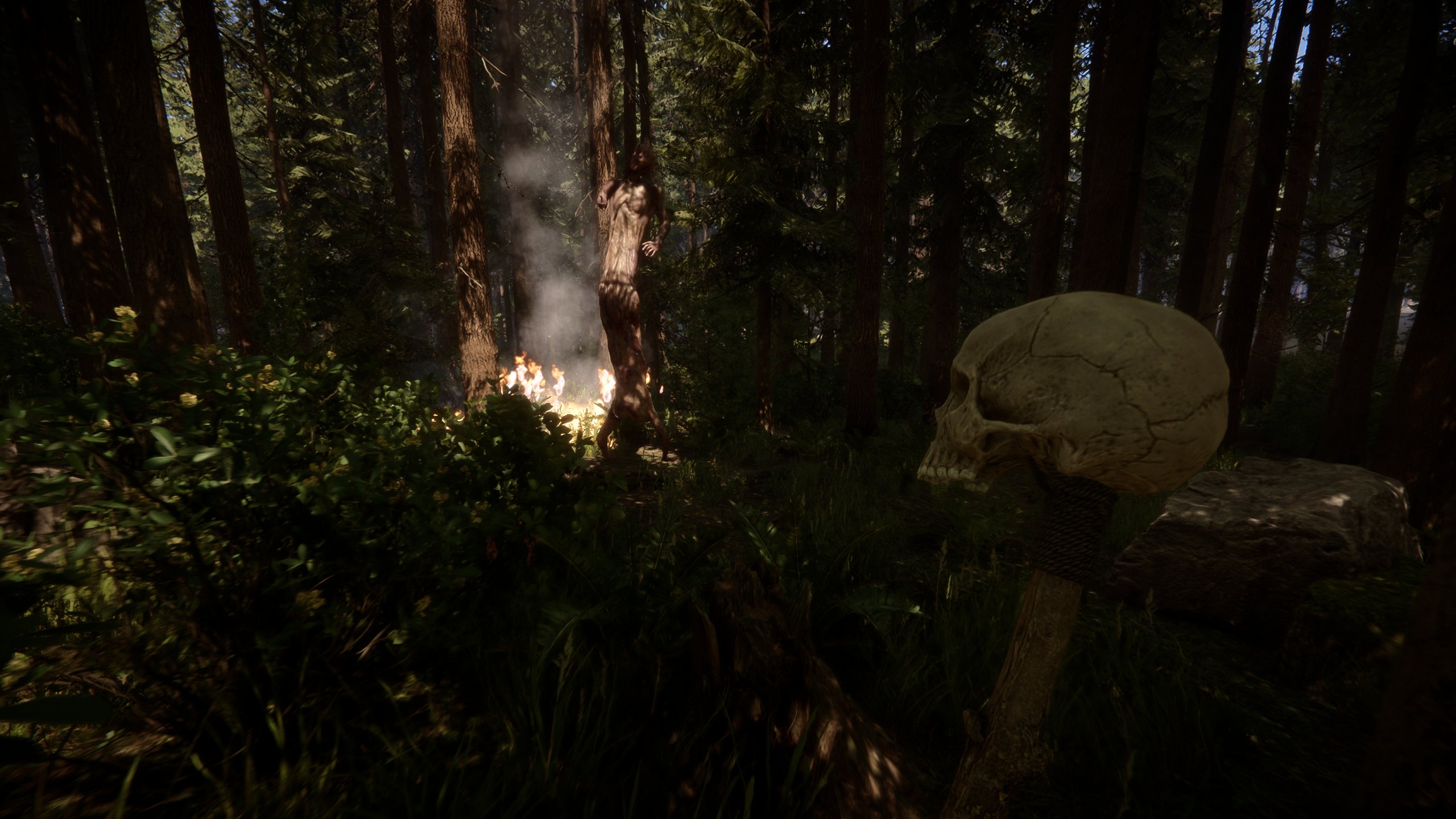 Sons of the Forest - zrzut ekranu 3