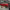 Car Detailing Simulator - czerwony samochód w garażu - PG