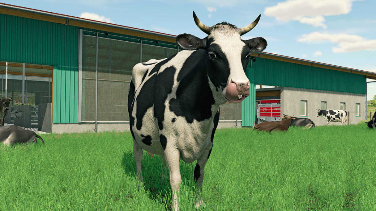 Farming Simulator 22 - krowa - PG