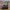Forza Horizon 5 - Jeep od Willys