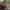 Gran Turismo 7 - czerwone auto jedzie przez drogę wśród drzew - screen zrobiony w trybie fotograficznym
