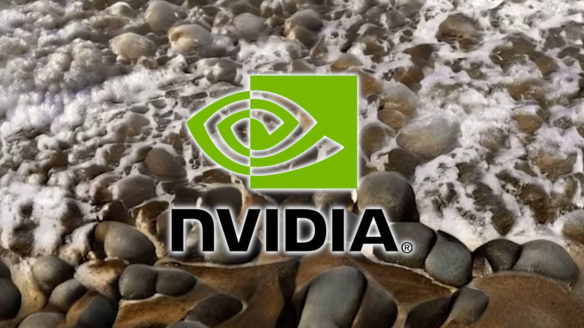 NVIDIA - logo - plaża - PG