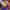PS Plus grudzień 2021 - logo, Ciri Cosplay - bohater z Dying Light 2 spada