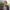 Jabari Banks w zwiastunie rebootu serialu Bajer z Bel-Air