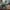 Scalebound obrazek promocyjny ze smokiem i bohaterem