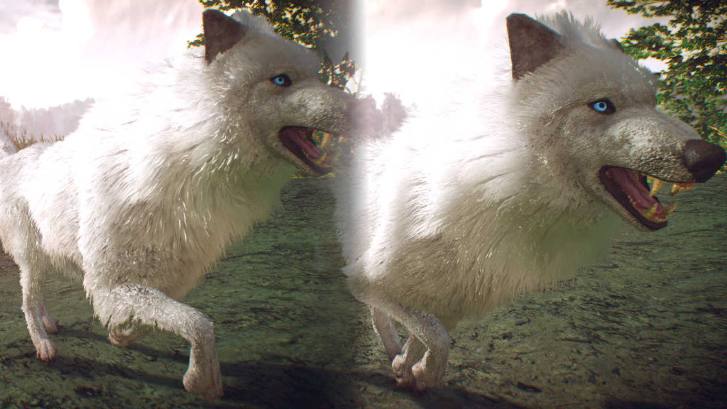 Wiedźmin 3 Dziki Gon - mod - Better Vanilla Fur - biały wilk