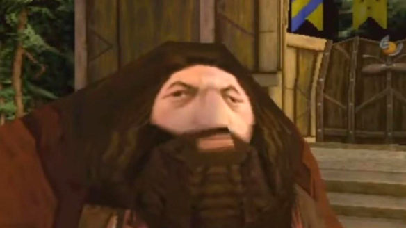 Harry Potter - Hagrid z PSX