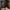 Unreal Engine 5 piwnica stolarza