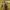 Mount & Blade II: Bannerlord dostanie moda z Feudalną Japonią