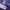 Asus ROG Ally oficjalnie. Nowa konsola zawalczy ze Steam Deck