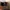 Horizon Forbidden West na PC złamane w 30 sekund | Newsy - PlanetaGracza