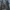 Assassin's Creed: Shadows mocno obrywa od graczy na Metacritic. Recenzje użytkowników