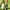 Dino Crisis Remake powstaje? Nowe doniesienia | Newsy - PlanetaGracza