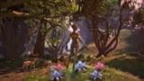 The Elder Scrolls IV: Oblivion Remastered z 1. aktualizacją | Newsy - PlanetaGracza