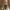 Wiedźmin - ciri Cosplay. Na zdjęciu LittleLucky / Fot. World of Gwendana.