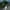 Armored Warfare idzie do piachu, przynajmniej na konsolach | Newsy - PlanetaGracza