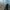Battlefield. Wyciekła godzina rozgrywki | Newsy - PlanetaGracza