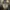 Clair Obscur: Expedition 33 - darmowe DLC i prezent na Steam
