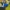 Gra za darmo na Steam. Diplomacy it Not an Option: Shareware