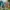Minecraft: Film - gdzie obejrzeć na streamingu? | Newsy - PlanetaGracza