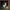 Gra za darmo na Steam. Oryginalny horror psychologiczny