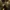 Need for Speed: Underground z Path Tracing zachwyca | Newsy - PlanetaGracza