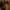 Predator: Killer of Killers - nowy zwiastun i data premiery | Newsy - PlanetaGracza