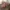 World of Tanks z darmowymi DLC tylko teraz | Newsy - PlanetaGracza
