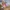 Akademia Pana Kleksa - darmowe demo na Steam | Newsy - PlanetaGracza