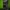 NVIDIA RTX 5050 oficjalnie. Cena i specyfikacja | Newsy - PlanetaGracza